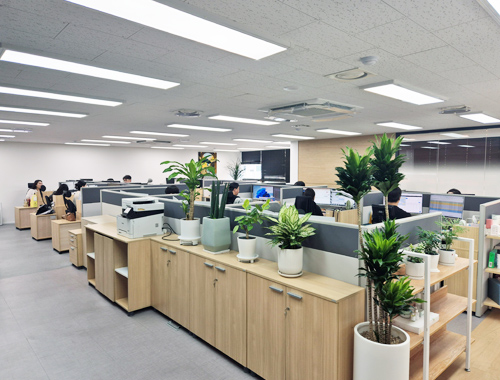 A view of the open-plan main office space at JOYKOREA.